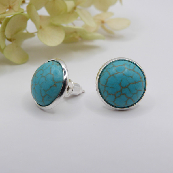 Puces d'oreilles argentées et turquoises